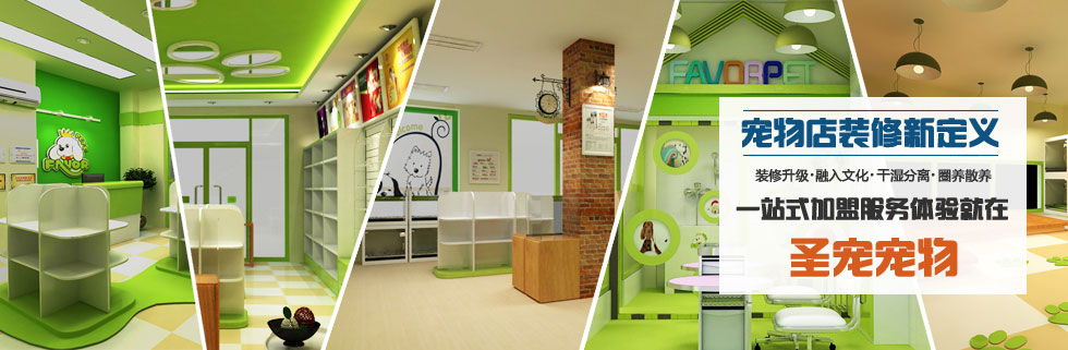 圣宠宠物店为您“私人定制”专属宠物店