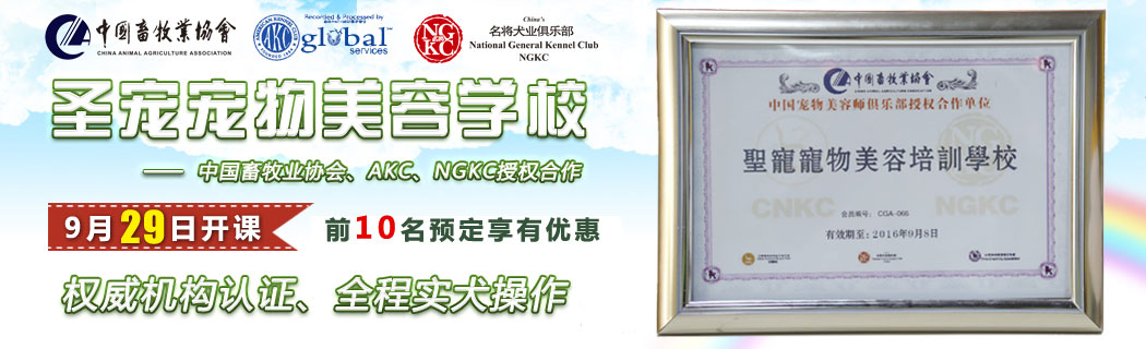 宠物美容培训9月29日开课