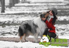 一般畜主反对绝育的借口