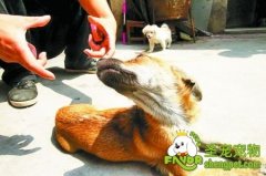 必须反复培养良好的进食仪态