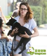 宠物春季常见病及其防治