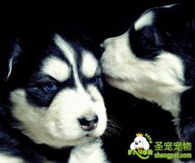 适应季节变化，合理选择护理方法