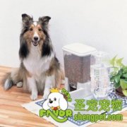 宠物美容需要的工具介绍