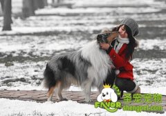 狗狗随行的训练方法