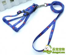 狗狗牵引绳的各种介绍