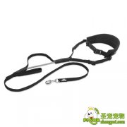 狗绳正确的使用方法