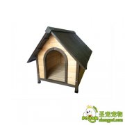 狗窝与狗舍的介绍