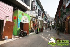 圣宠宠物连锁常州新北区万达广场店筹备中