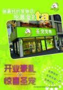 圣宠加盟优势（中期） — 开业策划