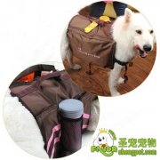棕色牛津布宠物自背登山包