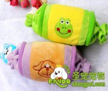 给狗买毛绒玩具的四点