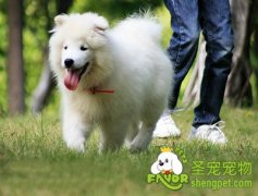 掌握正确管教方法