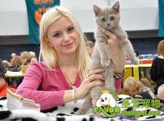 抓住猫咪的正确方法