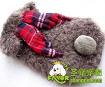 毛绒狗狗麋鹿变身装