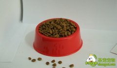 狗粮的种类以及特点