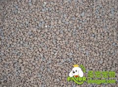 猫咪用品之猫砂