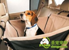 训练狗狗不晕车的方法