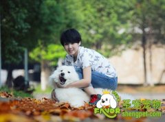 如何纠正狗狗的跳扑行为