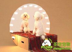 香水有毒：爱狗的学养狗的一定要看