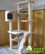 猫爬架应该怎样设置和选购