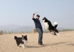 训练初学者注意事项