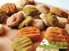 让汪喵星人营养更均衡