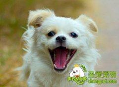 吃生肉骨的好处