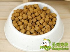 狗粮的选购误区
