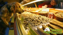 美味饼干自制秘方