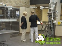 人用的药物能给狗狗用吗？