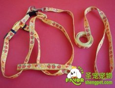 牵引绳带的正确使用方法