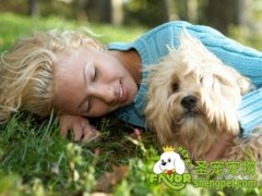 狗主人的岗位责任书