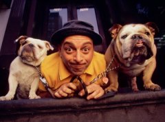 狗狗的性格好坏取决于主人