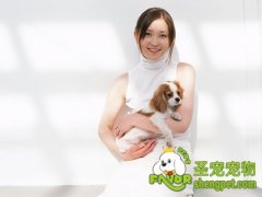 抱狗狗的正确姿势