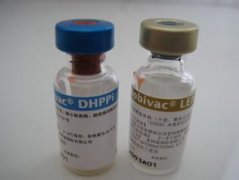 宠物疫苗注射说明
