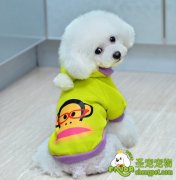 狗狗是如何表达心情的