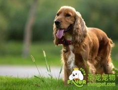 异位性皮肤炎治疗方法