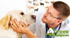 狂犬病暴露后的预防处置方法