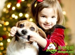 如何让狗狗和孩子友好相处