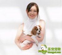 在喂狗狗食物时切忌抱着喂