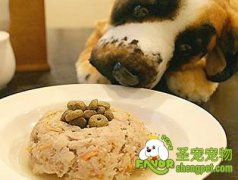 狗狗的健康饮食建议