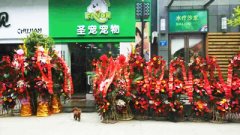 热烈祝贺圣宠宠物常州宠物店开业！