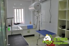 宠物美容工具大全介绍