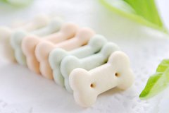 好主人必须知的狗狗零食挑选攻略