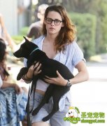 狗狗的个性与饲养方式之间的关系