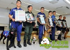 工作犬都干什么事？