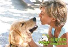 调教狗狗的时候需要讲究方法