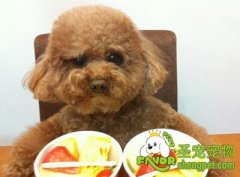 蔬菜、水果，想吃就能吃吗