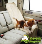 狗狗在搭乘交通工具时需要注意的事项