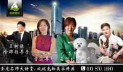 圣宠宠物加盟优势（后期）—店铺升级